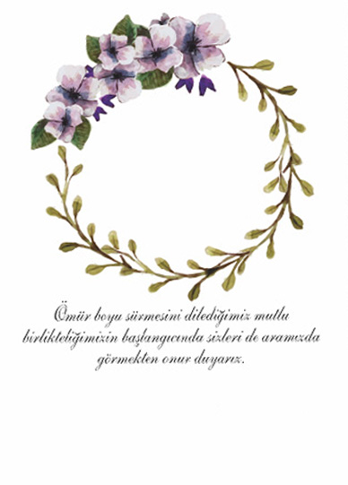  Emel ve Hacı Haveydi'nın Düğünü