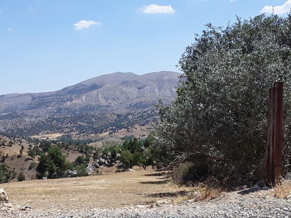 Köyden Fotoğraflar